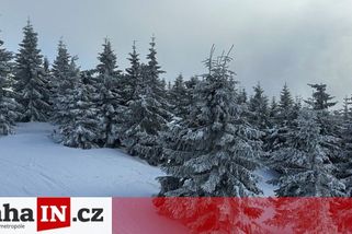 prahain.cz/jidlo/lyzar-na-spicaku-videl-cenu-zhrozil-se-prohledl-si-knedlik-odesel-26091.html